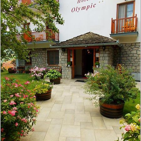 Hotel Olympic Metsovo Exteriör bild