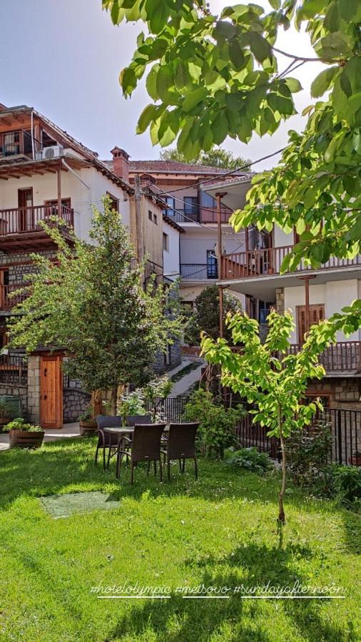 Hotel Olympic Metsovo Exteriör bild