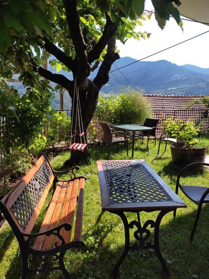 Hotel Olympic Metsovo Exteriör bild