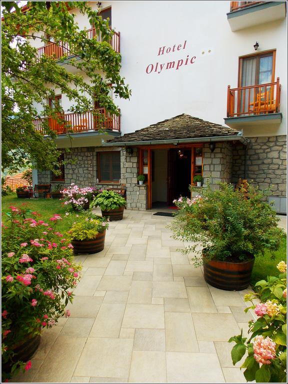Hotel Olympic Metsovo Exteriör bild