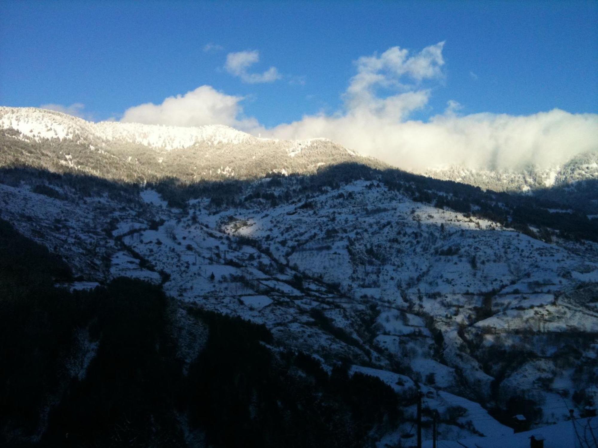 Hotel Olympic Metsovo Exteriör bild
